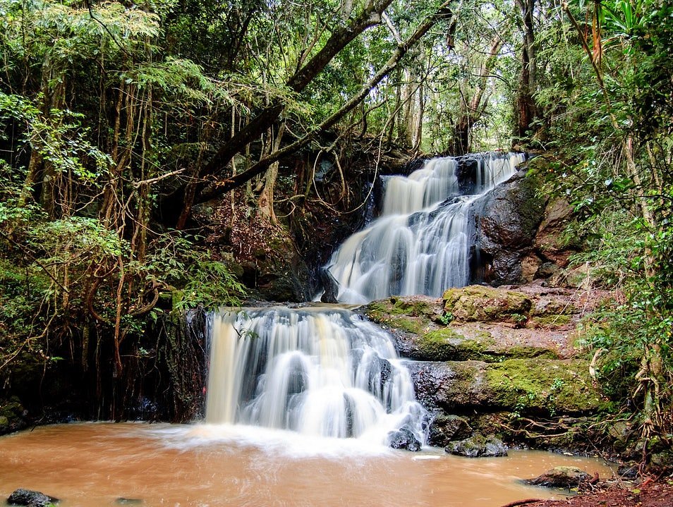 Exploring the Enchanting Beauty of Karura Forest